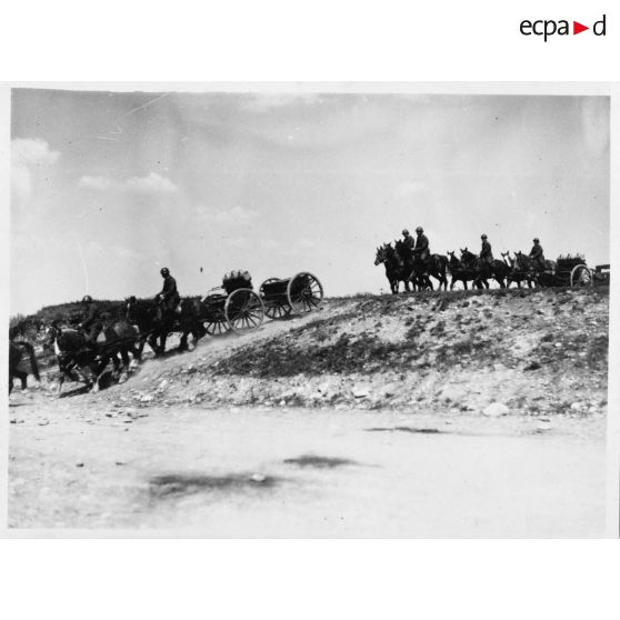 Batteries attelées de canons de 75 mm M1897.