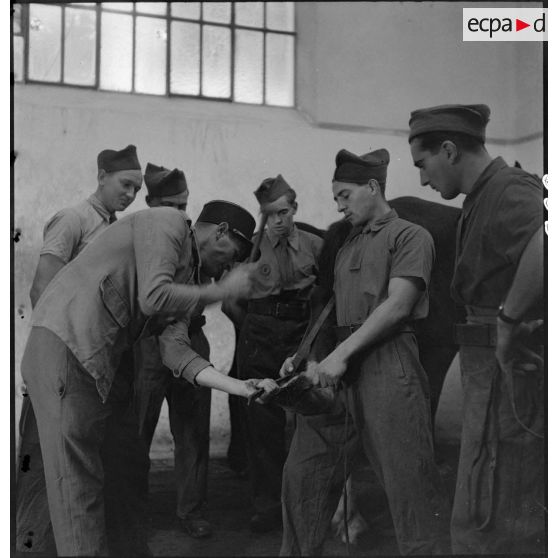 Un maréchal-ferrant ferre le pied d'un cheval.