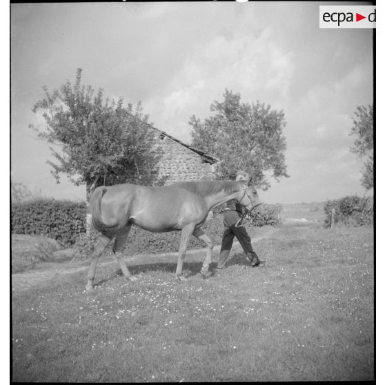 Monsieur Blandin mène une jument poulinière de son élevage.