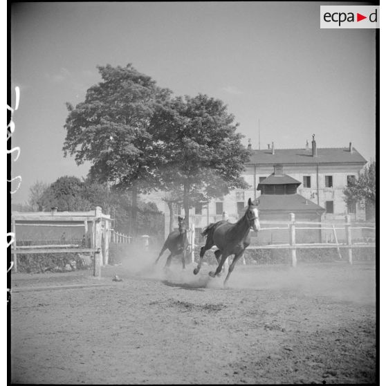 Des chevaux galopent dans un paddock du dépôt de remonte.