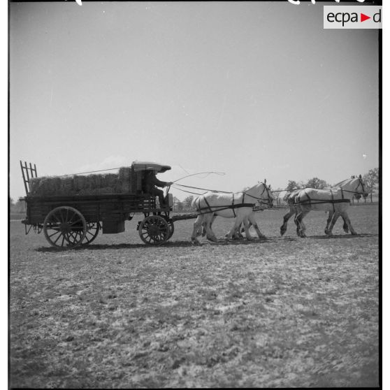 Présentation de voitures d'attelage au 24e RA.