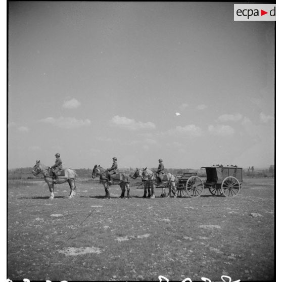 Présentation de voitures d'attelage au 24e RA.