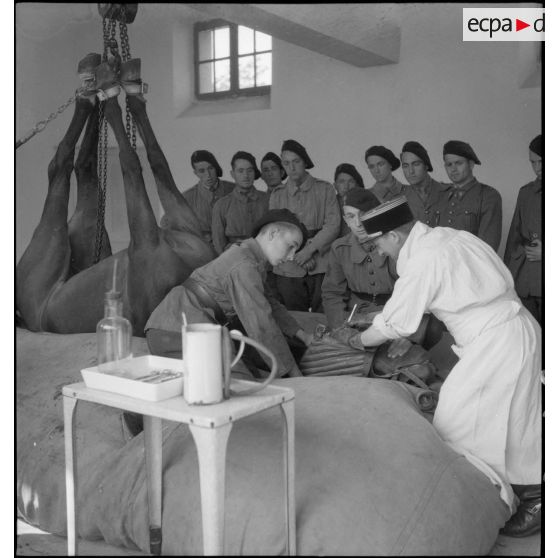 Infirmerie vétérinaire du 2e RAM.