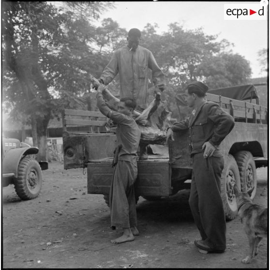 Transport de la viande destinée à ravitailler les troupes au Tonkin.