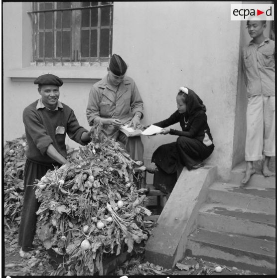 Distribution de légumes destinés à ravitailler les troupes au Tonkin.