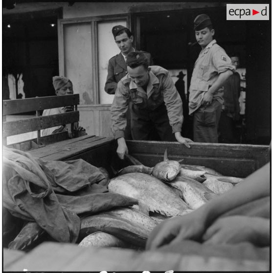 Chargement de poissons destinés à ravitailler les troupes au Tonkin.