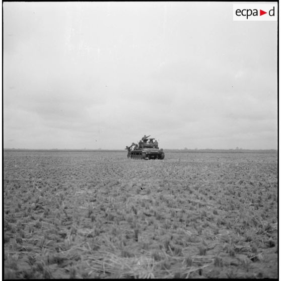 Progression de chars M24 Chaffee du 1er régiment de chasseurs à cheval à travers champs et rizières, sous la protection de fantassins.
