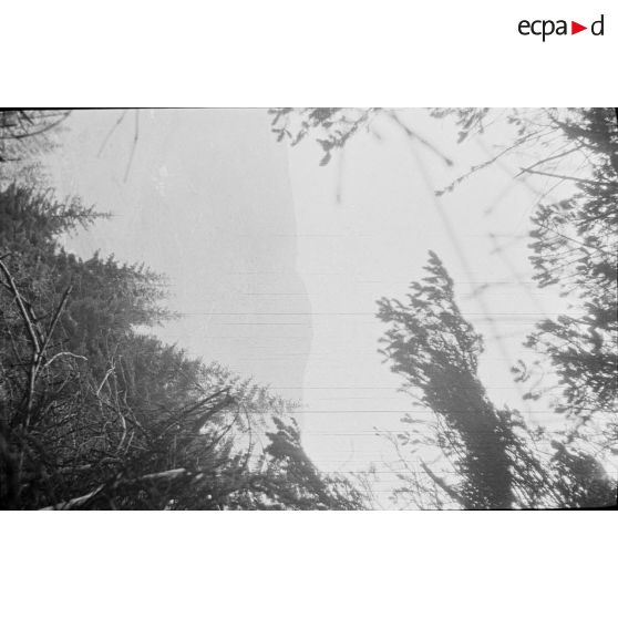 Pré de Raves. Observatoires, panoramas. 7-1916. [légende d'origine]