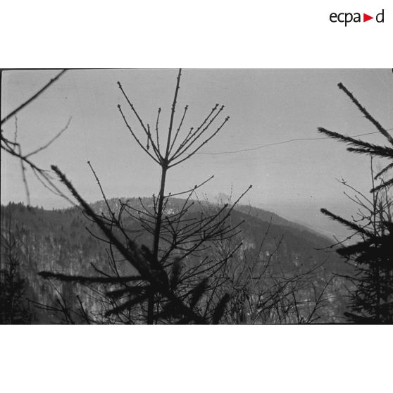 Pré de Raves. Observatoires, panoramas. 7-1916. [légende d'origine]