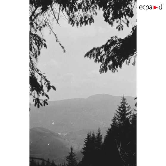 Pré de Raves. Observatoires, panoramas. 7-1916. [légende d'origine]