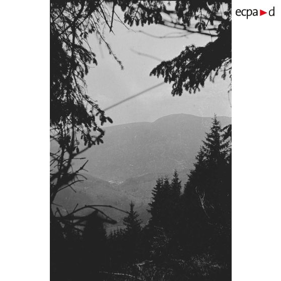 Pré de Raves. Observatoires, panoramas. 7-1916. [légende d'origine]