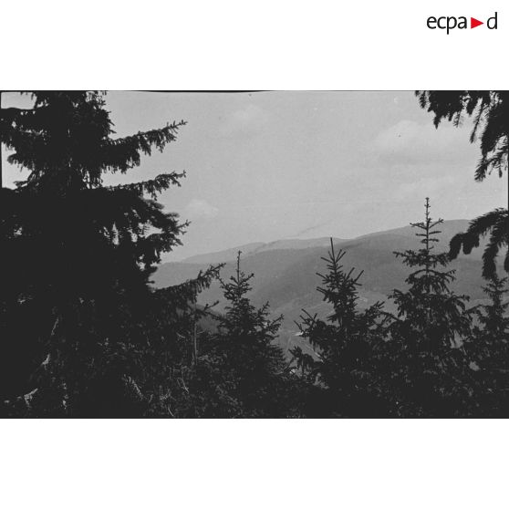 Pré de Raves. Observatoires, panoramas. 7-1916. [légende d'origine]