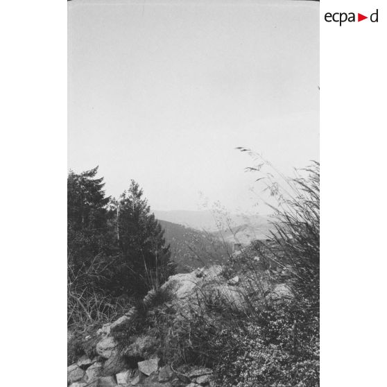 Tourniol. Altmatt. [légende d'origine]