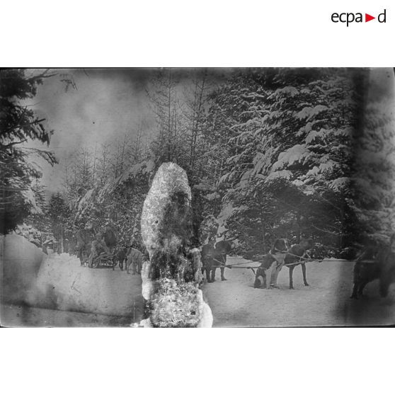 Tourniol. Traîneaux à chiens. [légende d'origine]