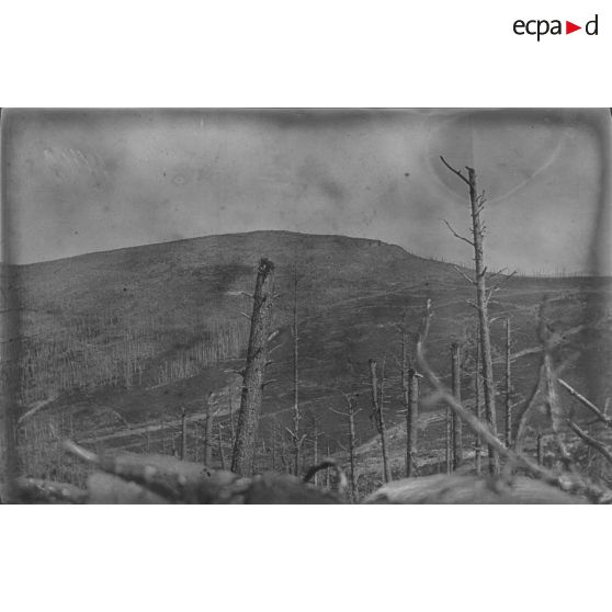 Cèbe. Mai-juillet 1917. [légende d'origine]