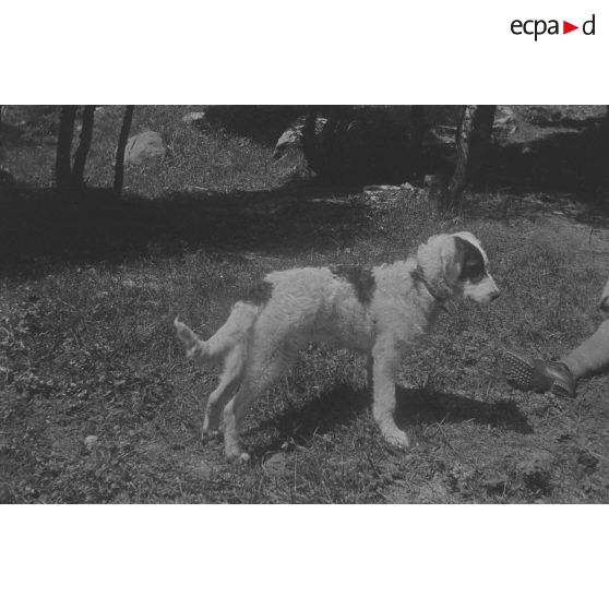 Cèbe. Mai-juillet 1917. [légende d'origine]