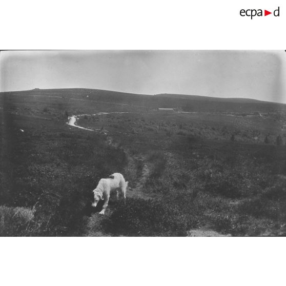 Cèbe. Mai-juillet 1917. [légende d'origine]