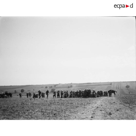 [Grandes manoeuvres d'armée de l'Est en 1905].