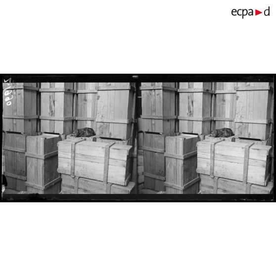 Paris. Palais Royal, 28 avril 1916. Incendie des archives de la Cour des Comptes, dans les sous-sols du Palais Royal. [légende d'origine]