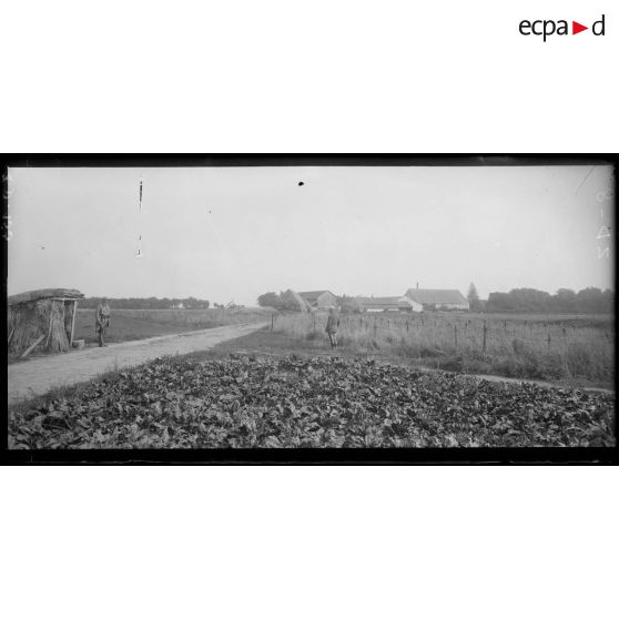 CRP. Derrière de la ferme de Champagne, protection de fils de fer. [légende d'origine]