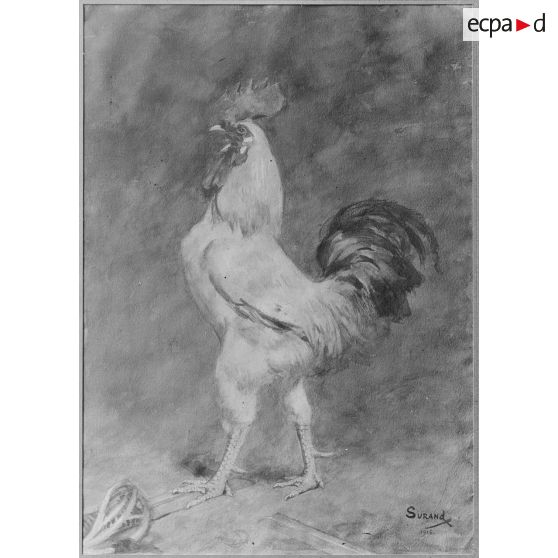 Paris. Musée Leblanc. Coq gaulois, par Surand. [légende d'origine]