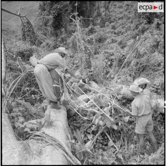 Récupération de parachutes largués sur le village de Chieng Nuoi, ayant atterri en forêt, par des éléments du 17e tabor.