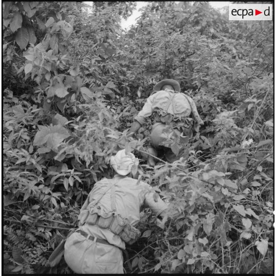 Patrouille du 17e tabor dans la jungle aux environs du village de Chieng Nuoi.