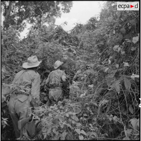 Patrouille du 17e tabor dans la jungle aux environs du village de Chieng Nuoi.