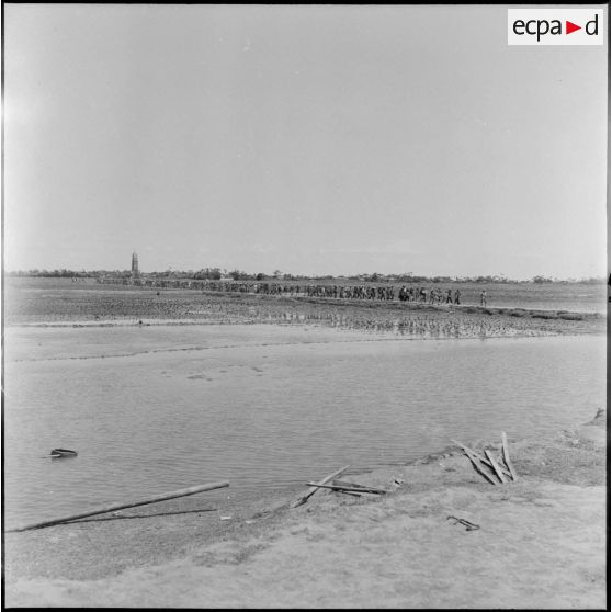 Acheminement de prisonniers viêt-minhs, encadrés par les soldats français, vers les lignes arrirère.