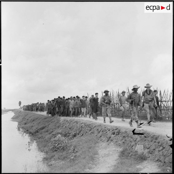 Acheminement de prisonniers viêt-minhs, encadrés par les soldats français, vers les lignes arrirère.