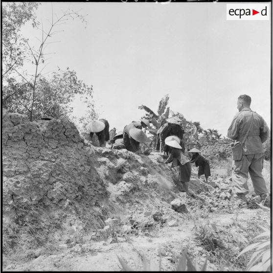 Les habitants renforcant les fortifications du village d'An Co.