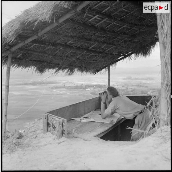 Observation des alentours.