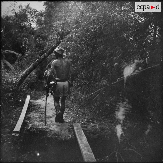 Des soldats alignés fouillent des broussailles.