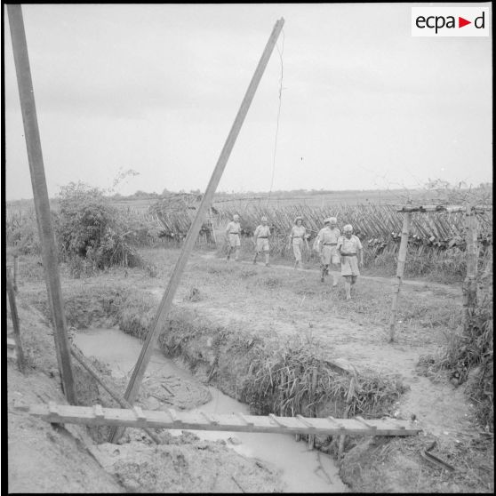 Visite des plantations.