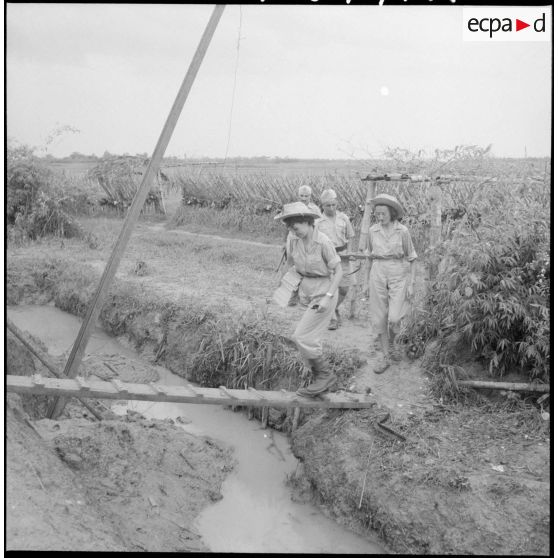 Visite des plantations.