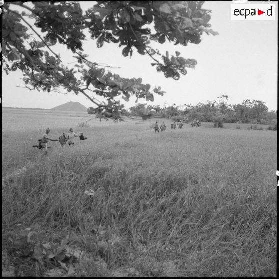 Progression d'un groupe de soldats au milieu des herbes hautes.