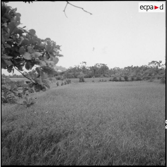 Progression d'un groupe de soldats au milieu des herbes hautes.