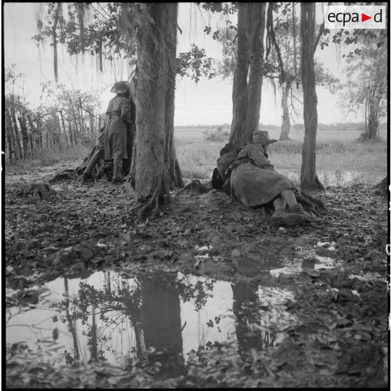 Soldats à l'affût embusqués dans la forêt.