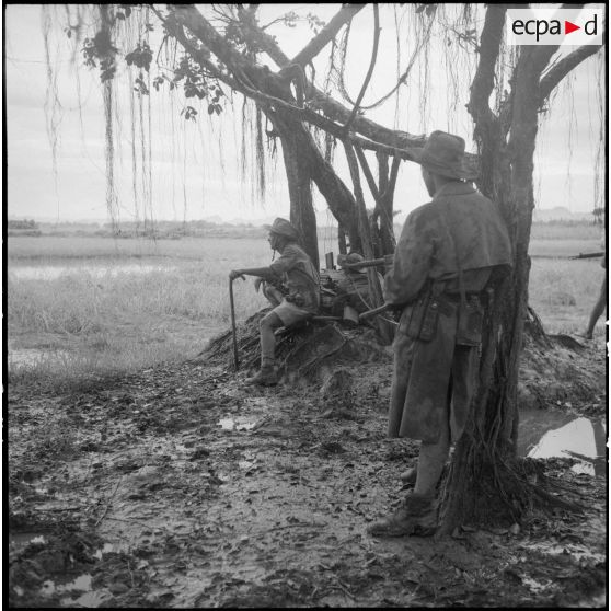 Soldats à l'affût embusqués dans la forêt.