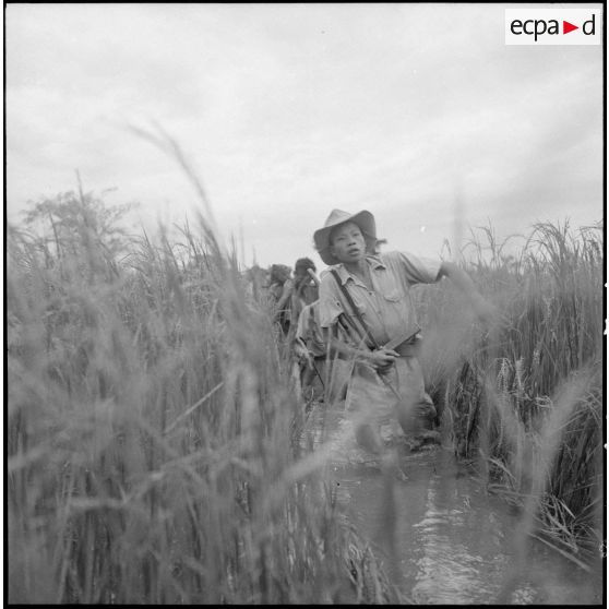 Un soldat vietnamien avance dans l'eau au milieu d'herbes hautes.