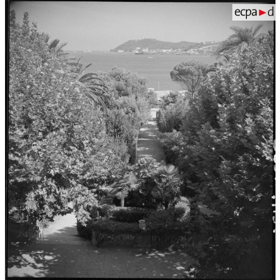 Vue du parc de l'hôtel.