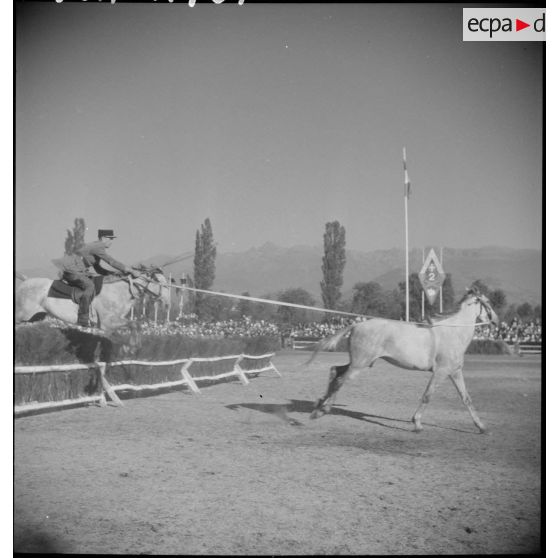 Concours hippique au 2e RAM.