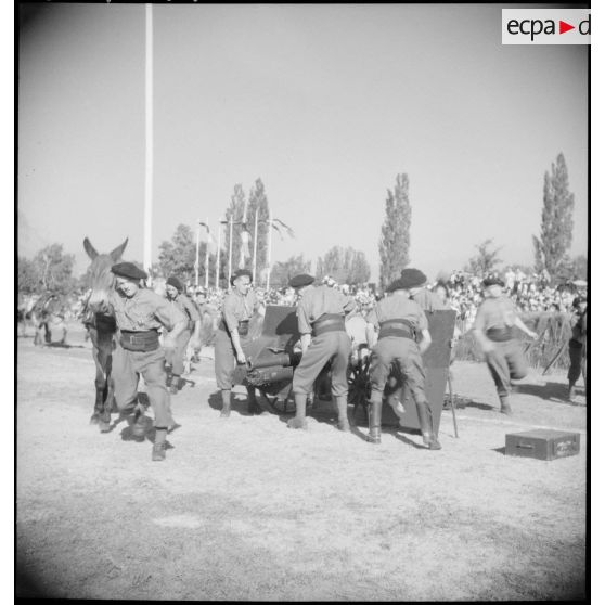Mise en batterie d'un canon de 75 mm lors de la fête de corps du 2e RAM.