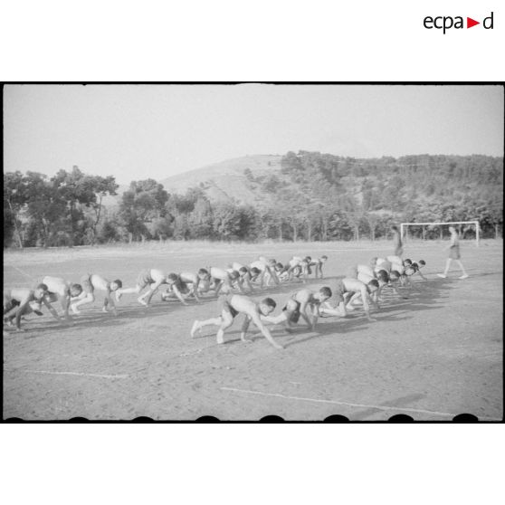 Séance d'hébertisme au 67e RAA.