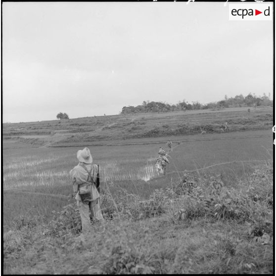 Traversée d'une rizière par des éléments du 8e bataillon de chasseurs parachutistes (8e BCP).