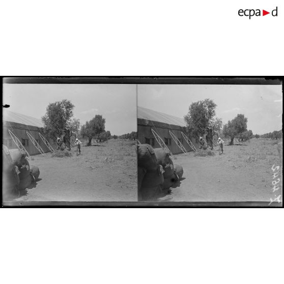 Tarente. Les grande tentes. [légende d'origine]