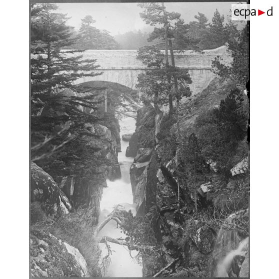 Contretype. [légende d'origine]