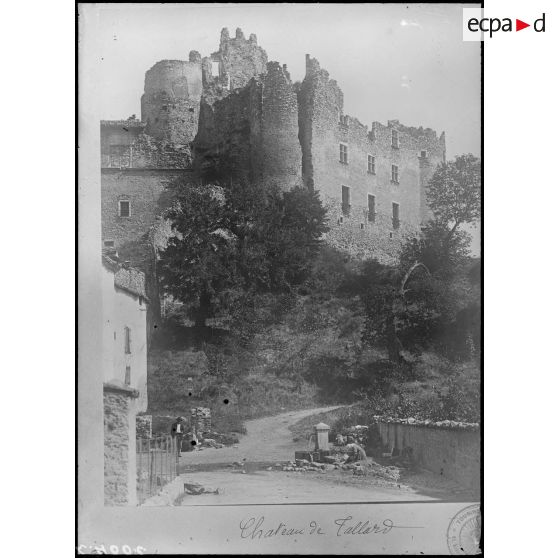 Contretype. [légende d'origine]