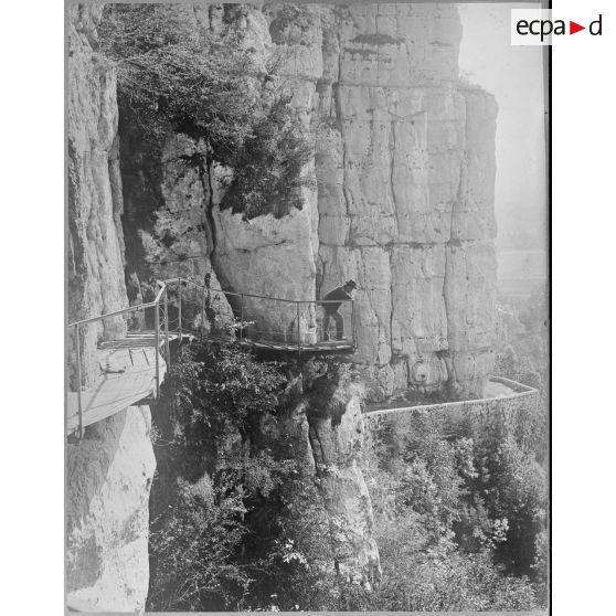 Contretype. [légende d'origine]