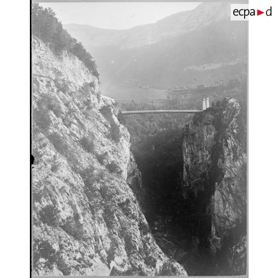 Contretype. [légende d'origine]